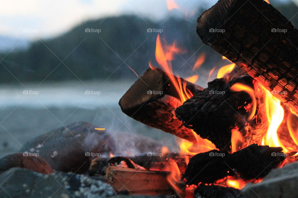 Closeup profile of a campfire on the beach with the ocean and trees visible in the background. 