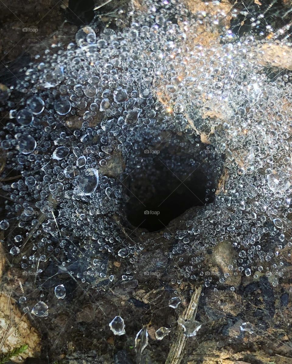 Water droplets on a spider’s web over a hole in the ground