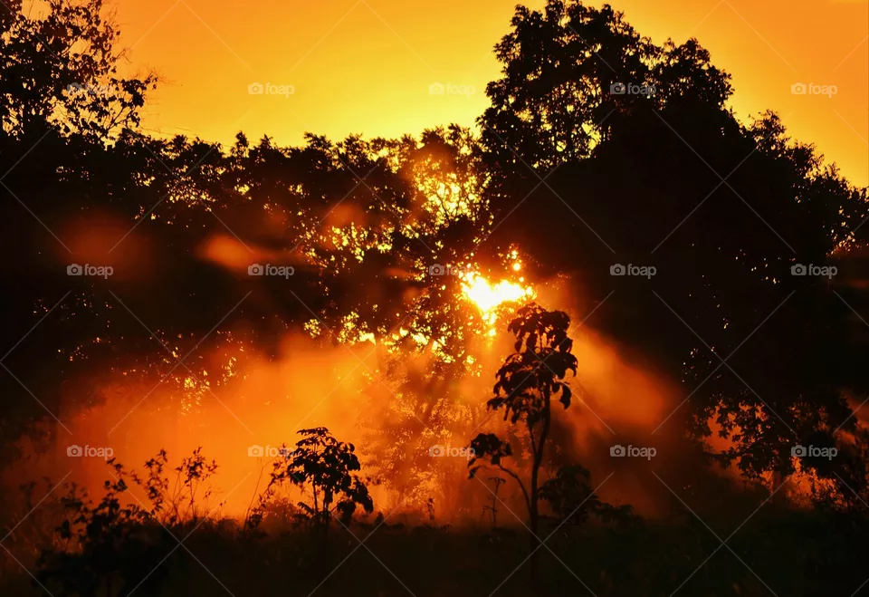 landscape