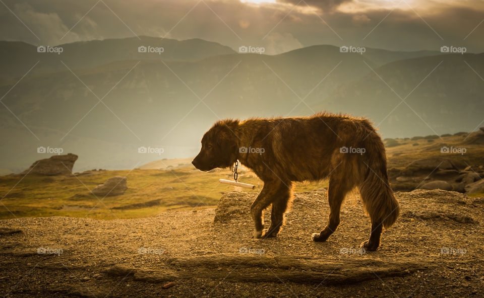 No Person, Sunset, Landscape, Water, Travel