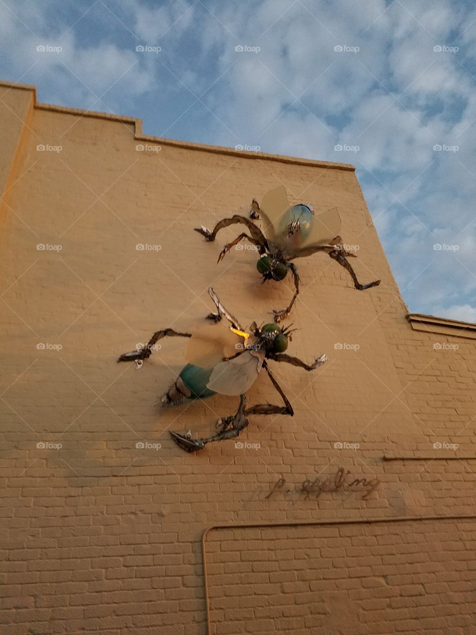 Flies in the wall