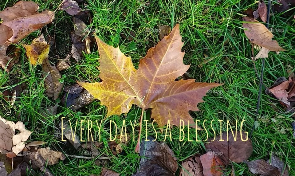 Every day is a blessing 🍁
