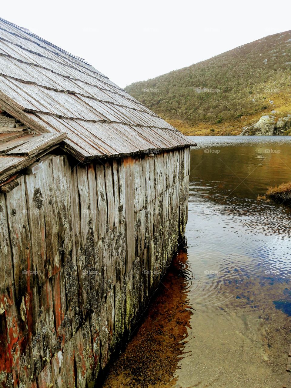 The Boatshed