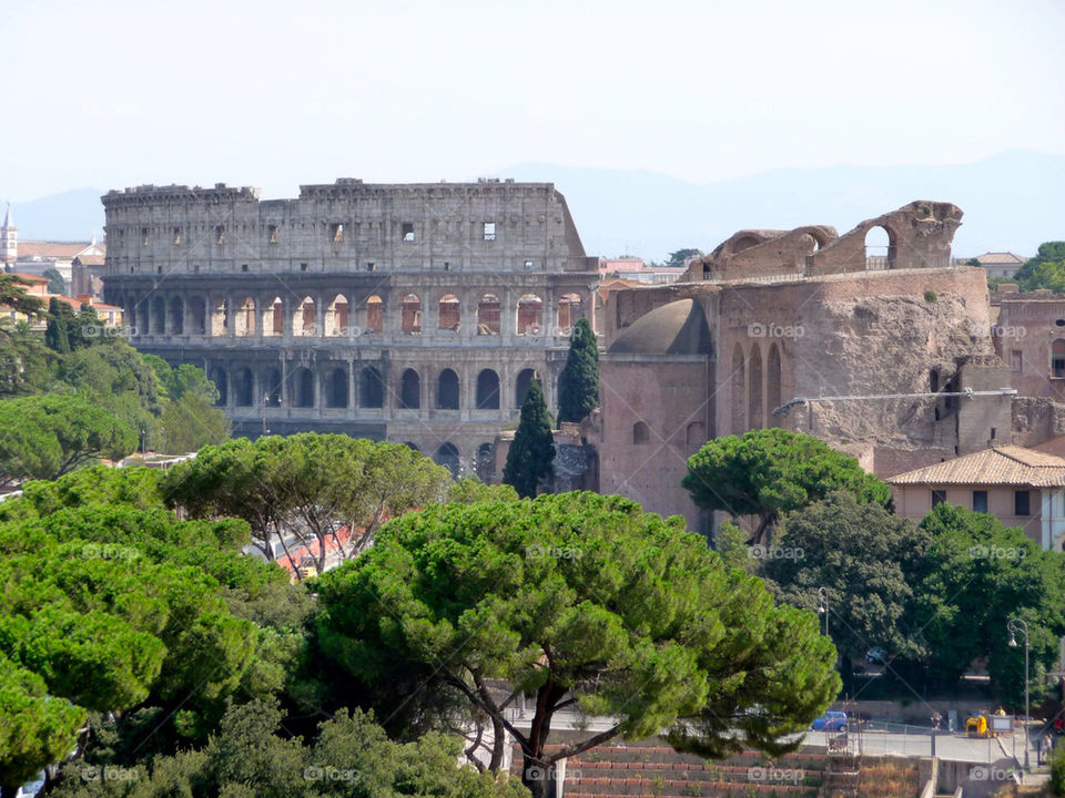 trees rome colosseum by markworld