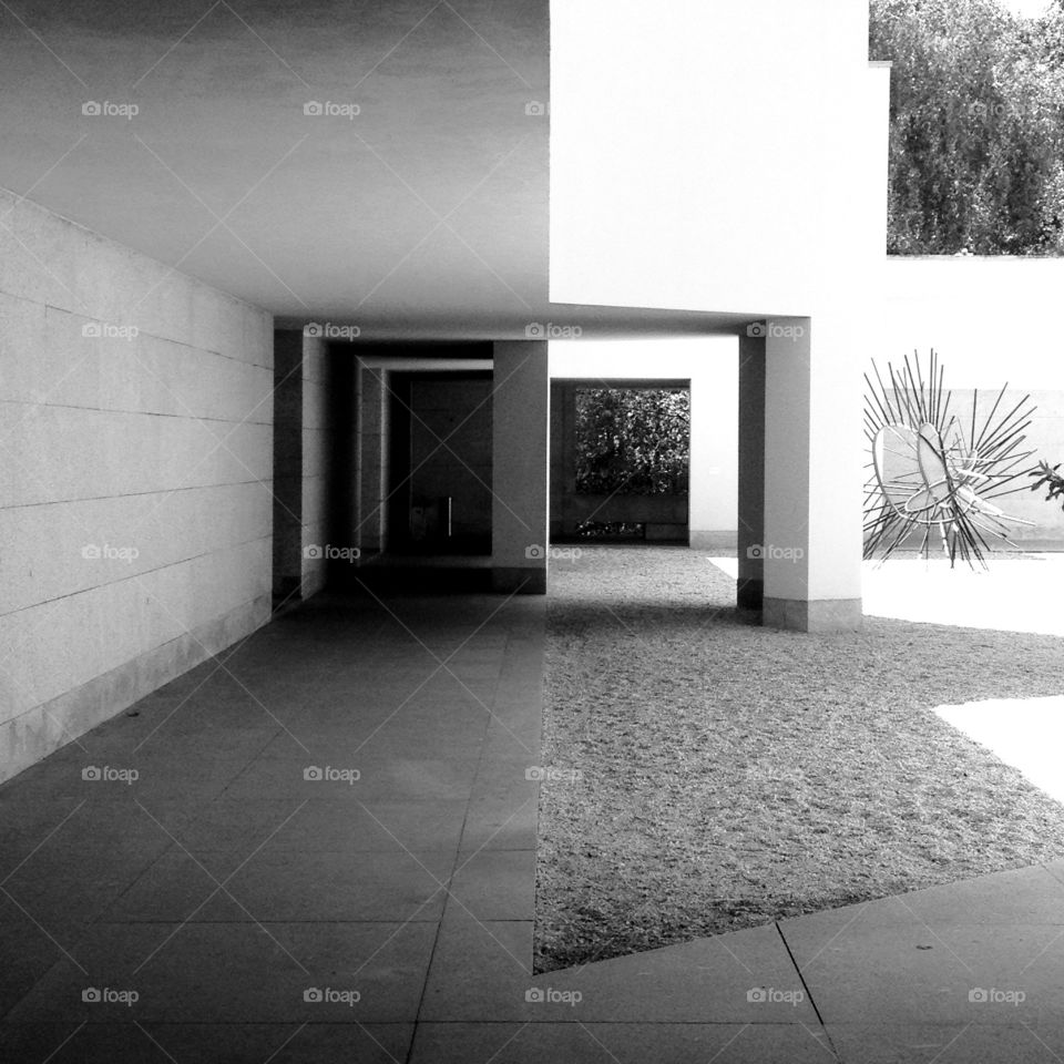 Serralves Museum