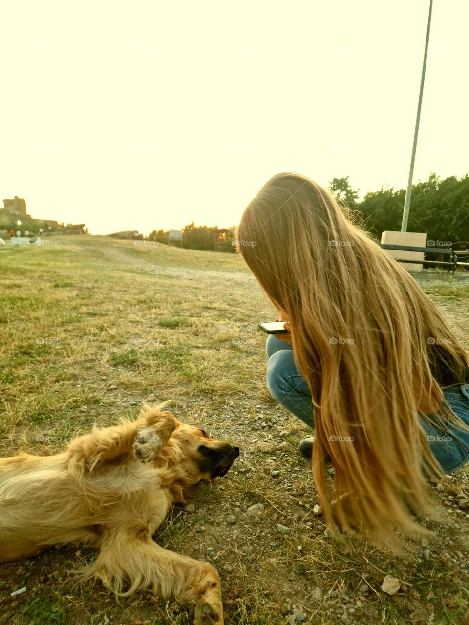 play in nature with the dog