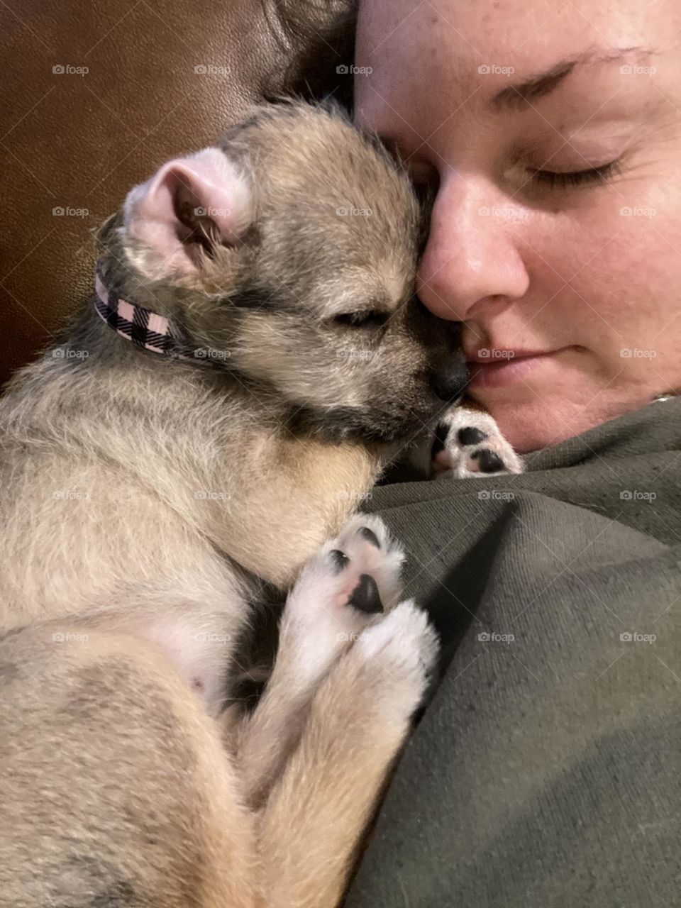 Puppy snuggles