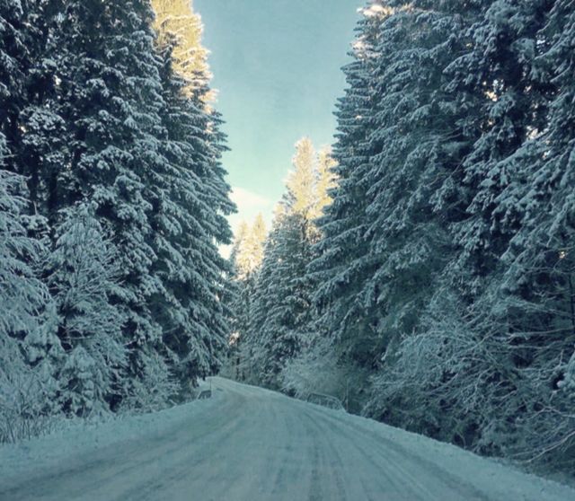 snow