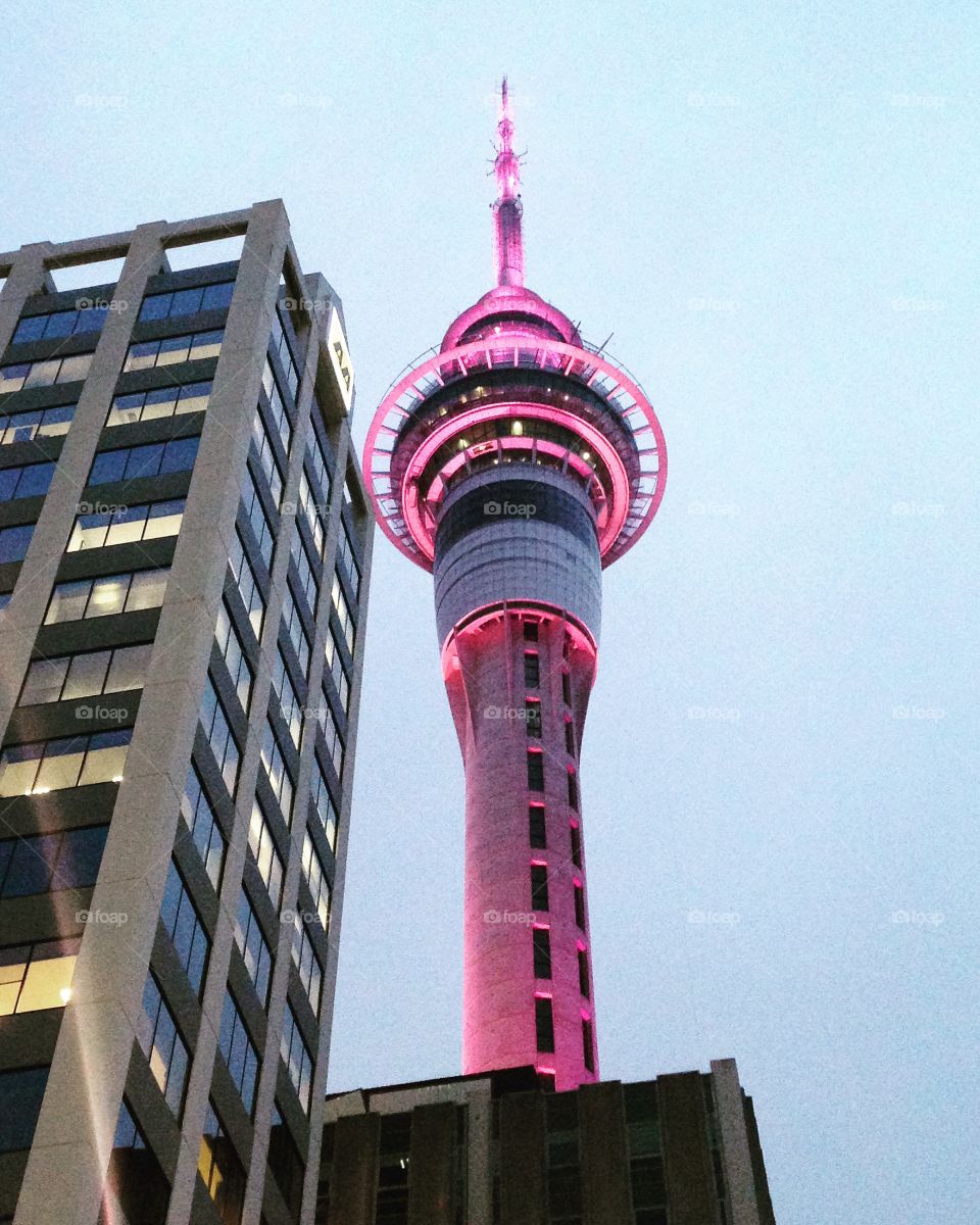 Auckland 