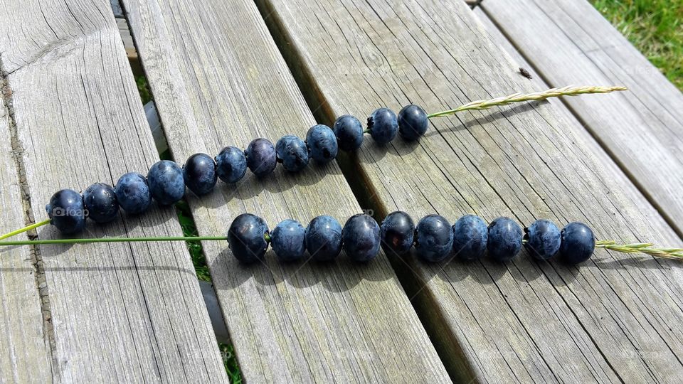 Sweet blueberries on a straw