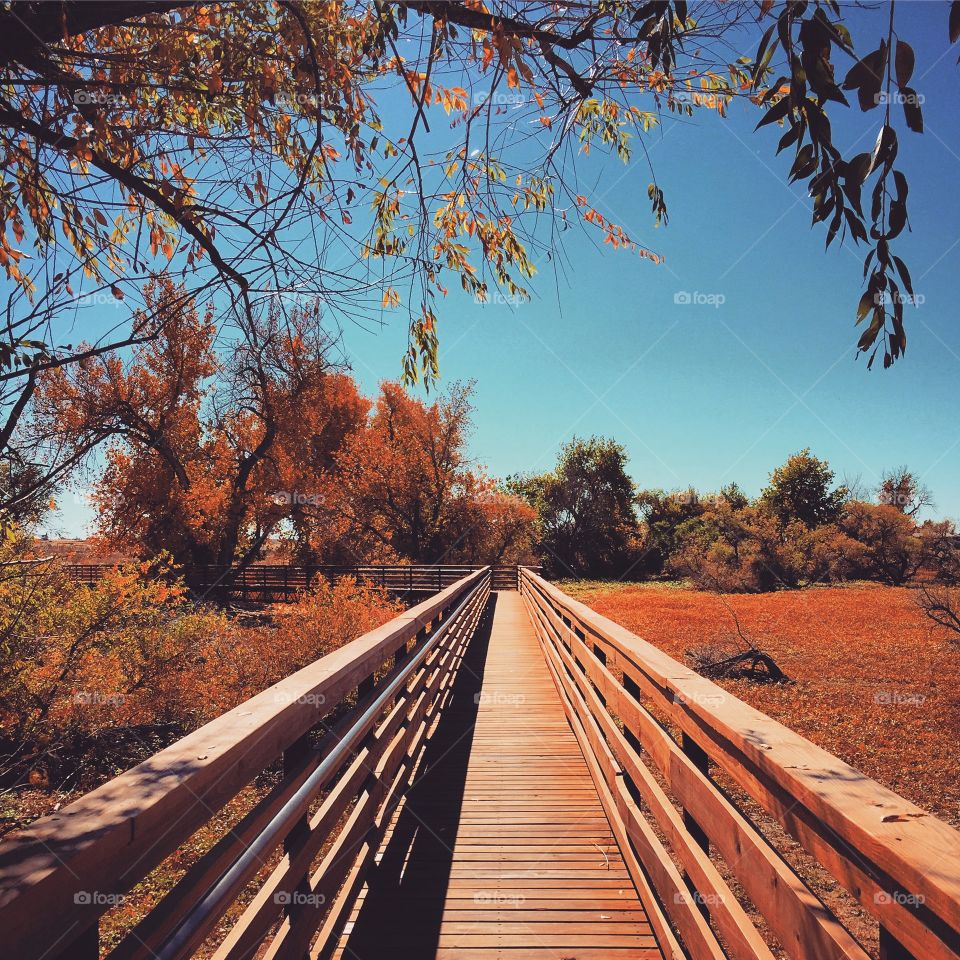 Walking bridge at Barr Lake State Park 