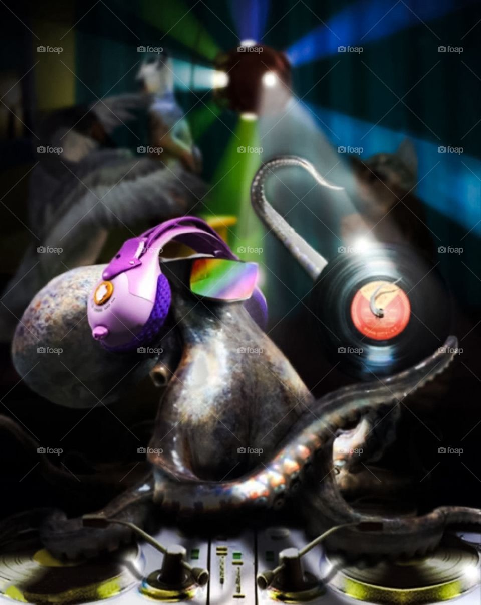 Quando un grafico si annoia