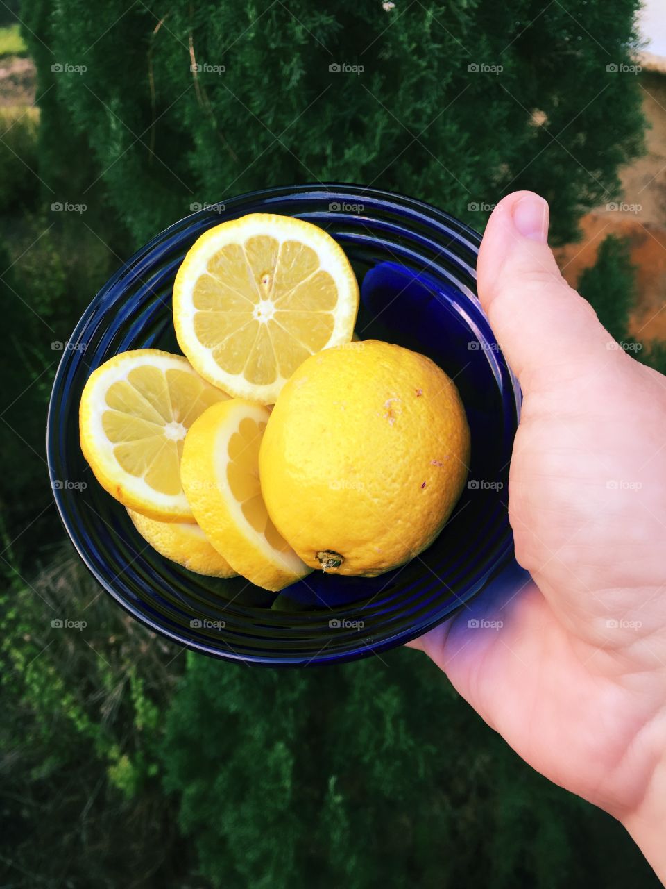 Close-up of lemon in bowl