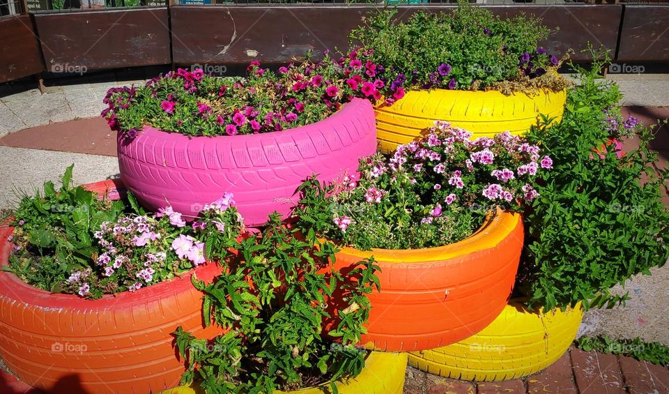 Tires and flowers.