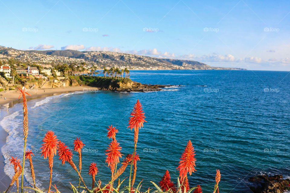 Beach on New Year's Day