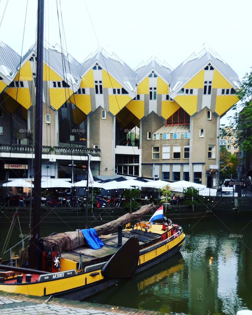 cube houses in Rotterdam