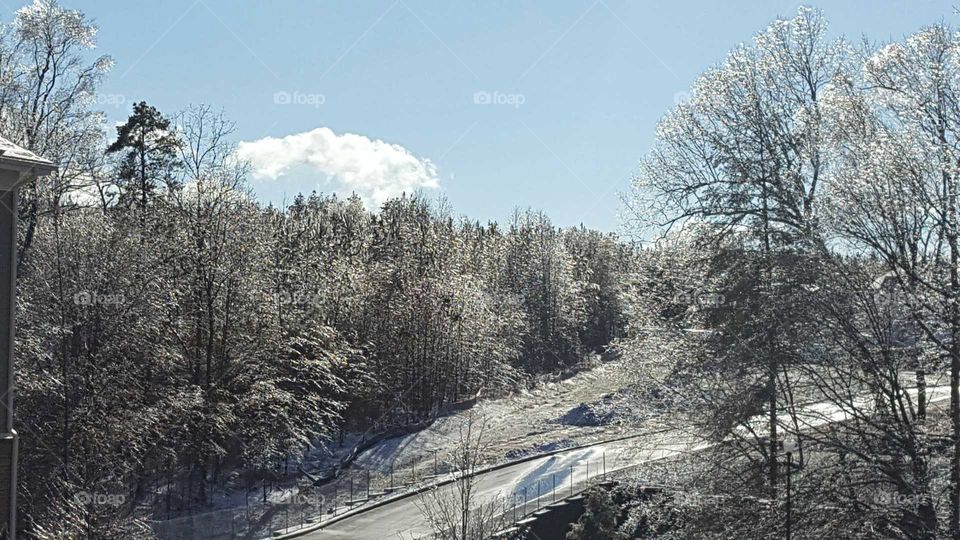 snow landscape