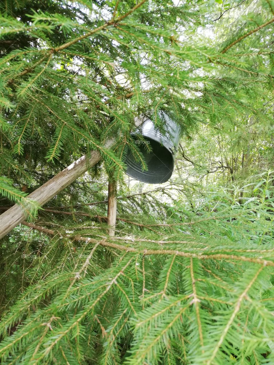 The well is in the landscape and as a lifter for water is a zinc bucket, which handle is made of unpainted tree. The container is on its holder upside down. Green branches of spruce hanging around it.