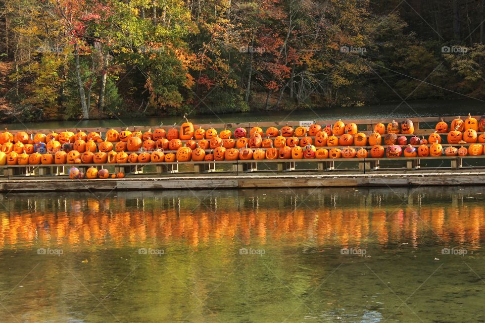 pumpkin reflections