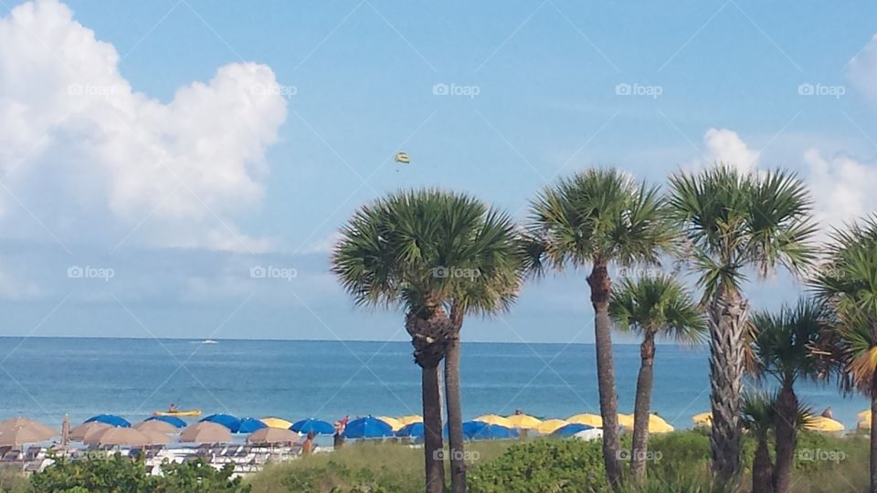 Beach Days. siesta key crescent beach