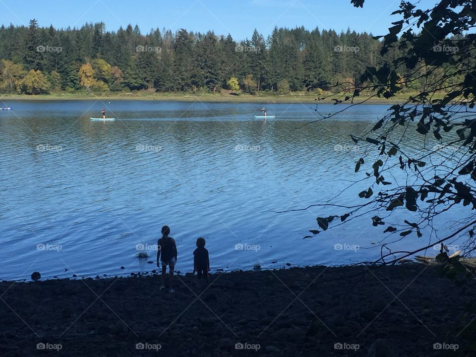 Afternoon in the lake 