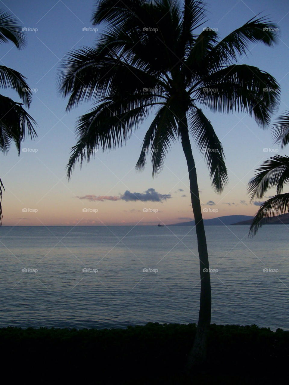 beach ocean sunset sea by SmileItsJo