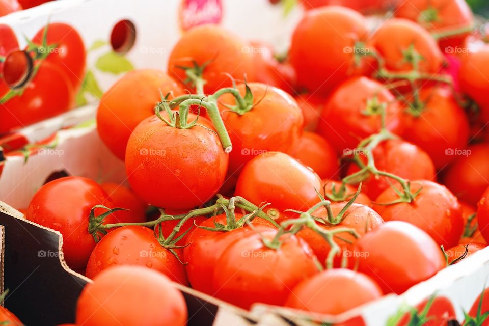 Fresh tomato. A group of fresh tomatoes selling at the fresh market.