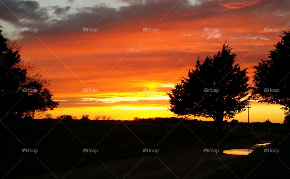 Sunset Silhouette