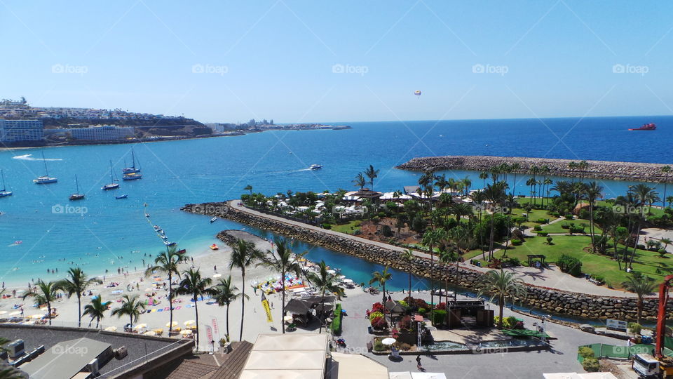 exotica  Beauty in the canary Islands