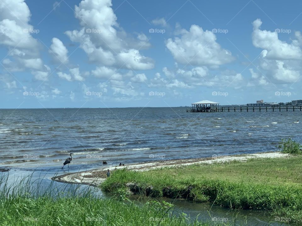 River Inlet on a Sunny Day