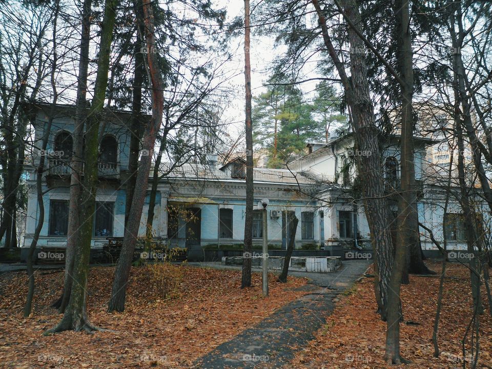 in autumn park in Kiev city, autumn