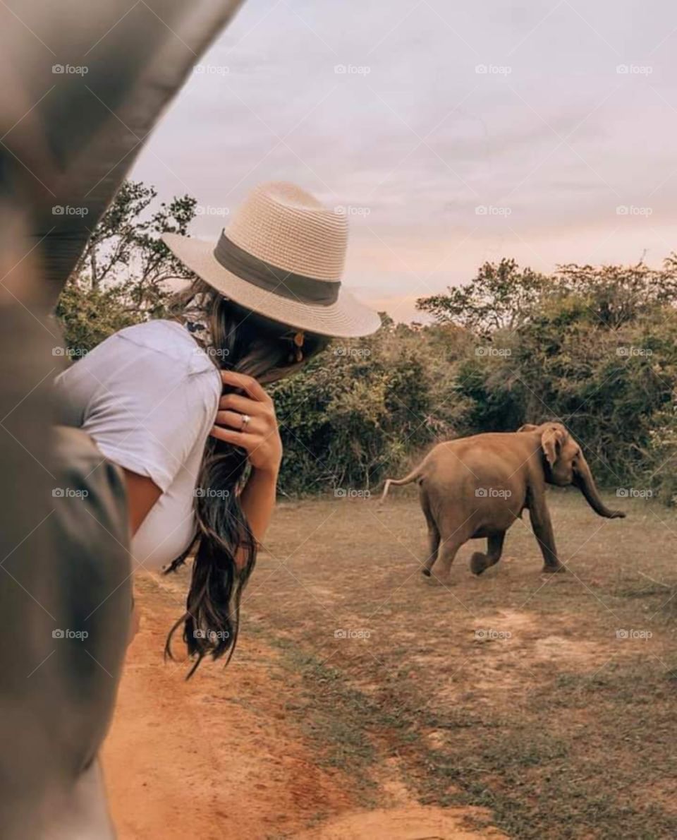 elephant run is scared