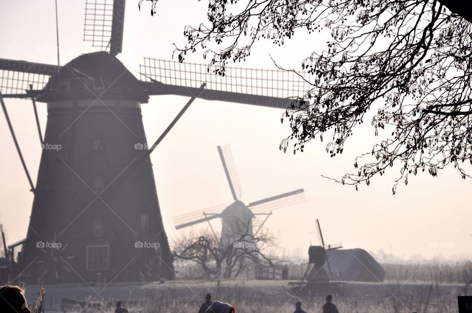 Wind mills at holland