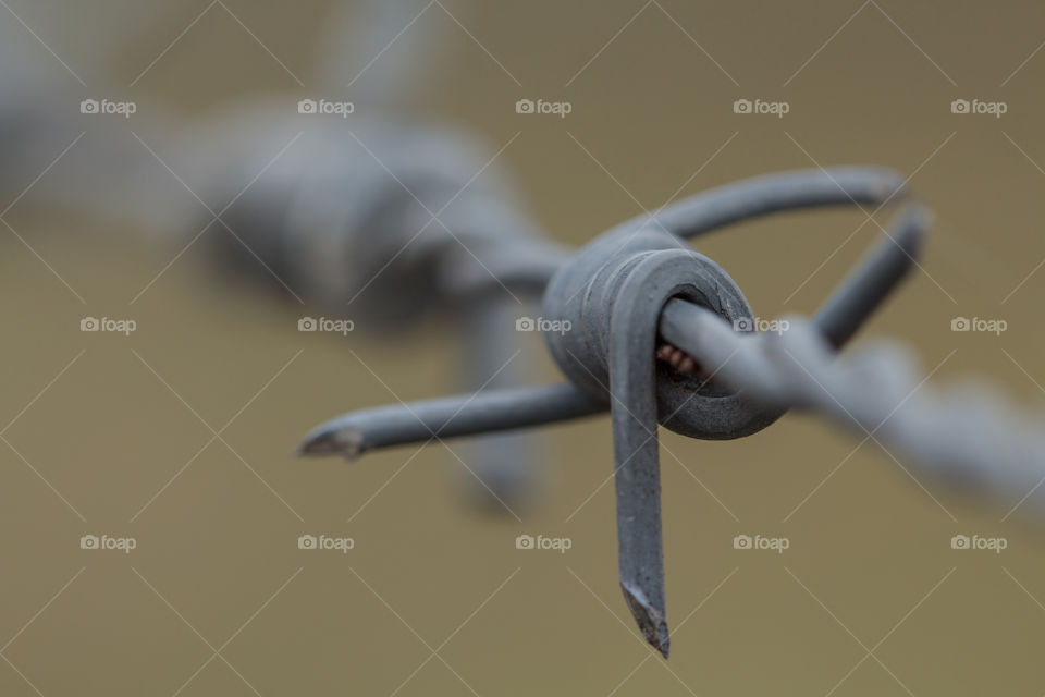 Close-up of barbed wire