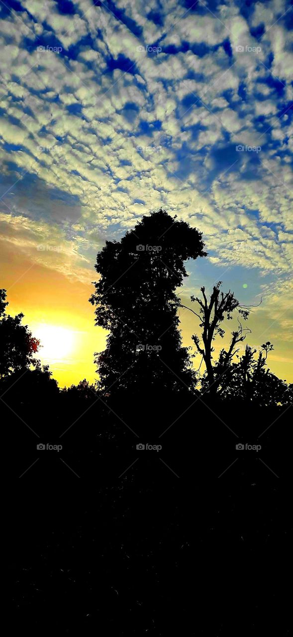 beautiful view  with beautiful  sunshine and mighty clouds with yellowish sky