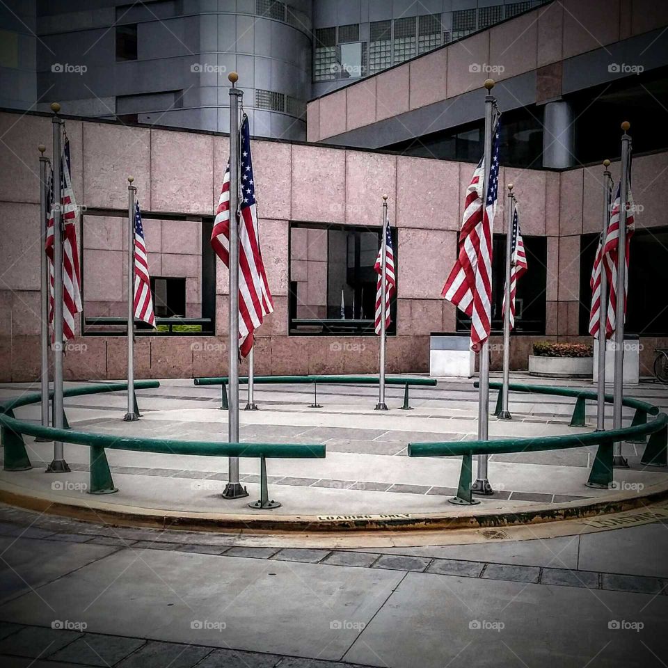 American Flags at Vetrans Administration Building Downtown