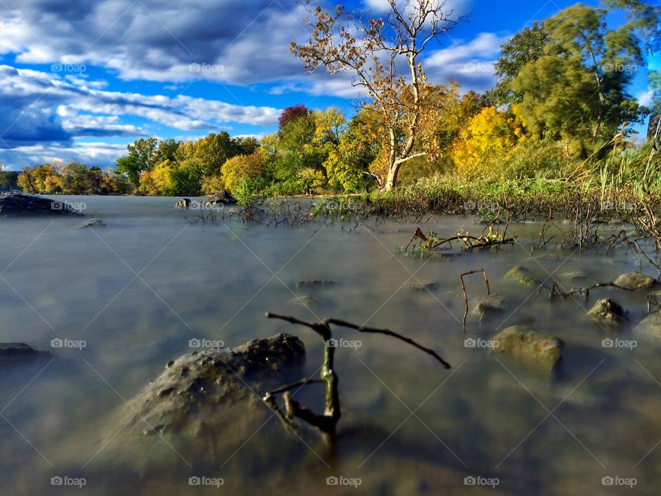 Still marshlands. Marshlands adjacent to the Hudson River 