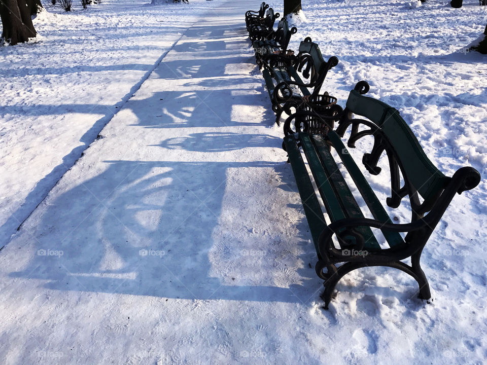 Benches casting shadows on the path covered with snow 