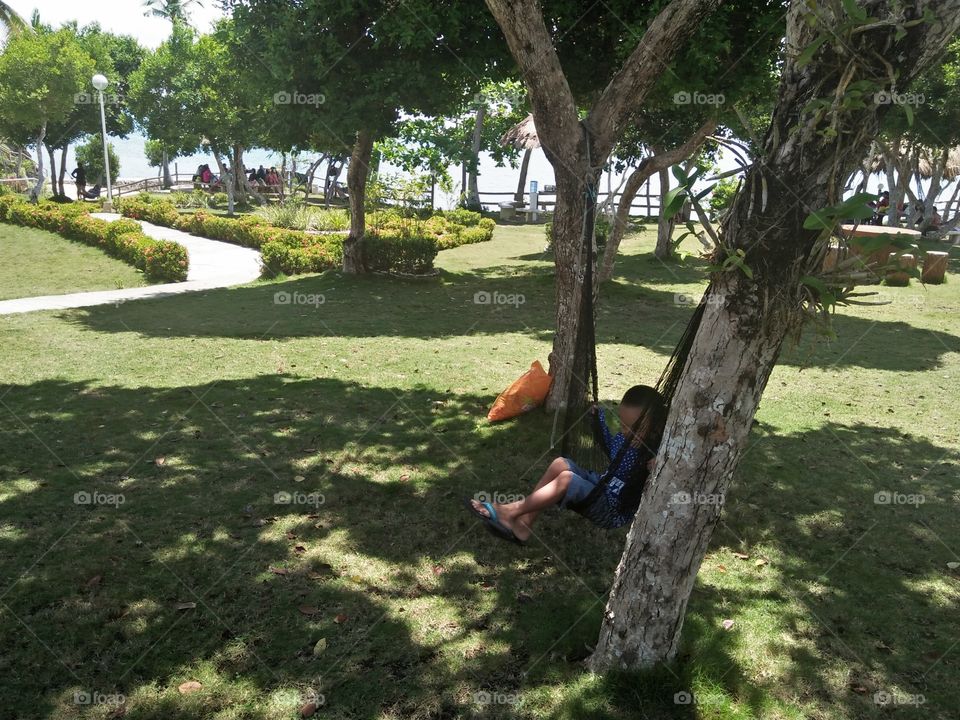 ground view of cebu paradise resort in phils. more trees and plants