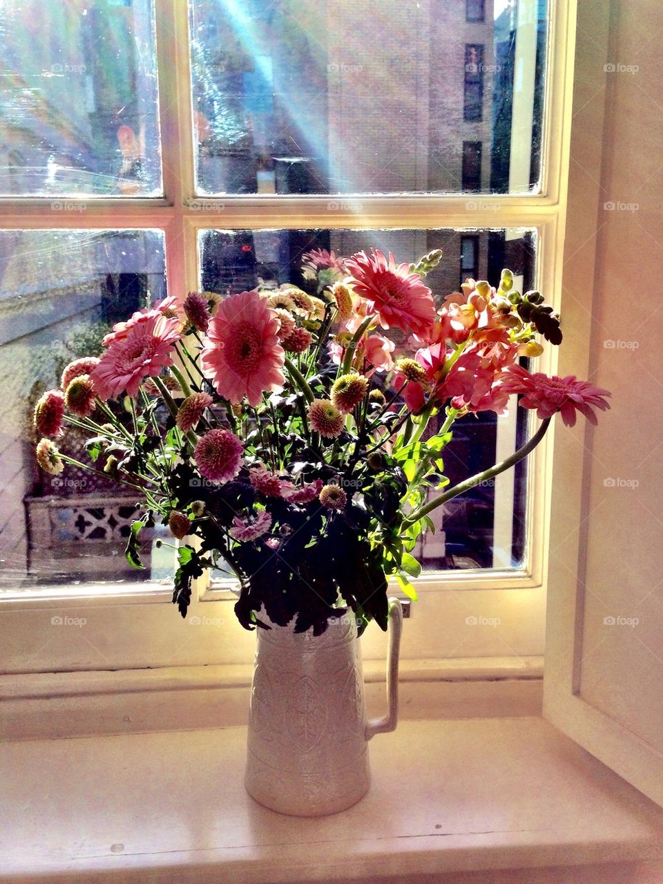 Flowers on window 