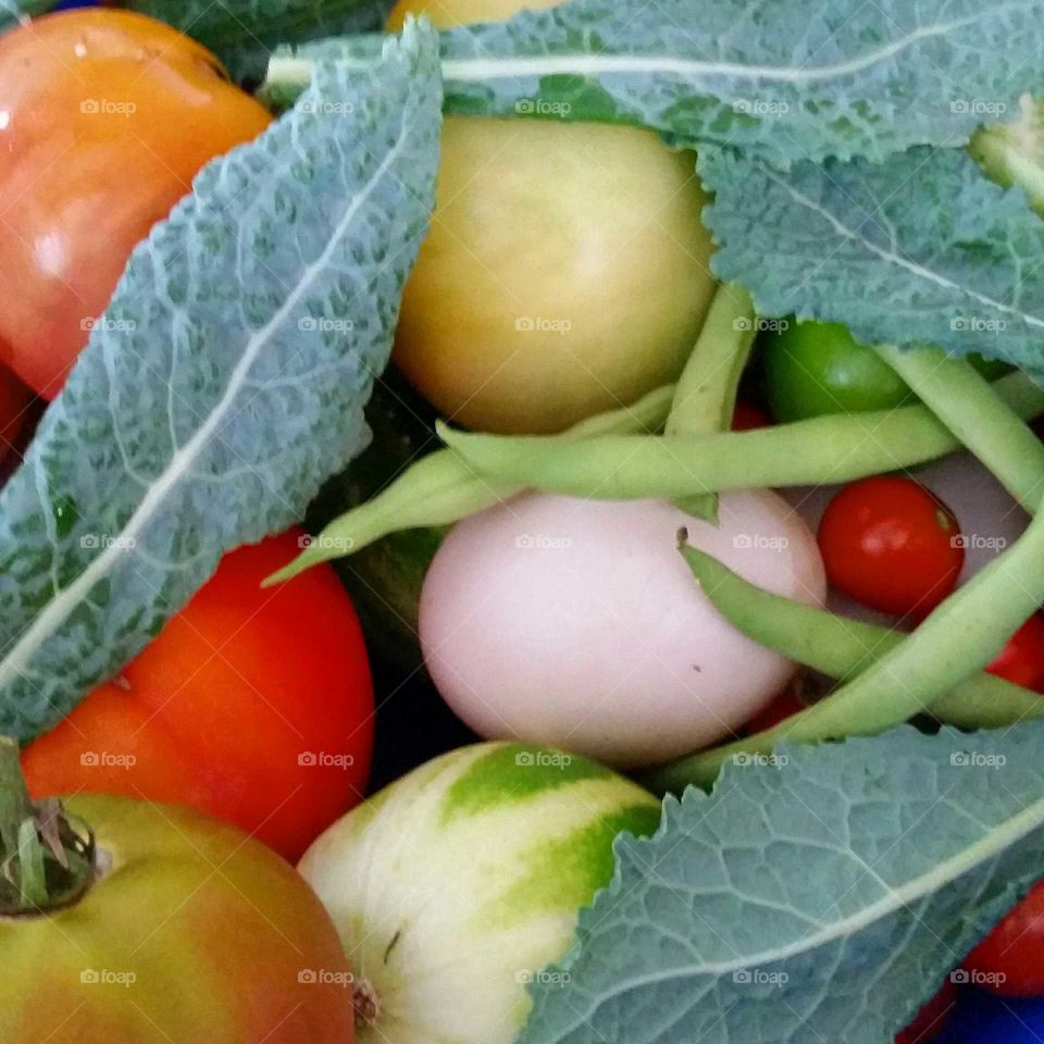 Today's harvest. the beautiful bounty of freah veggies and duck eggs
