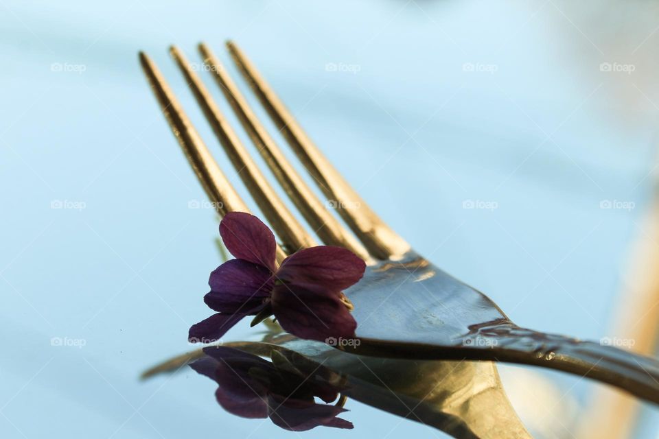 Close up of metal fork and violet flower on the mirror.  A fork is a cutlery or kitchen tool