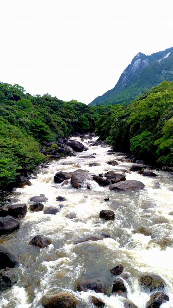 River after a heavy rain in Yakushima, Japan