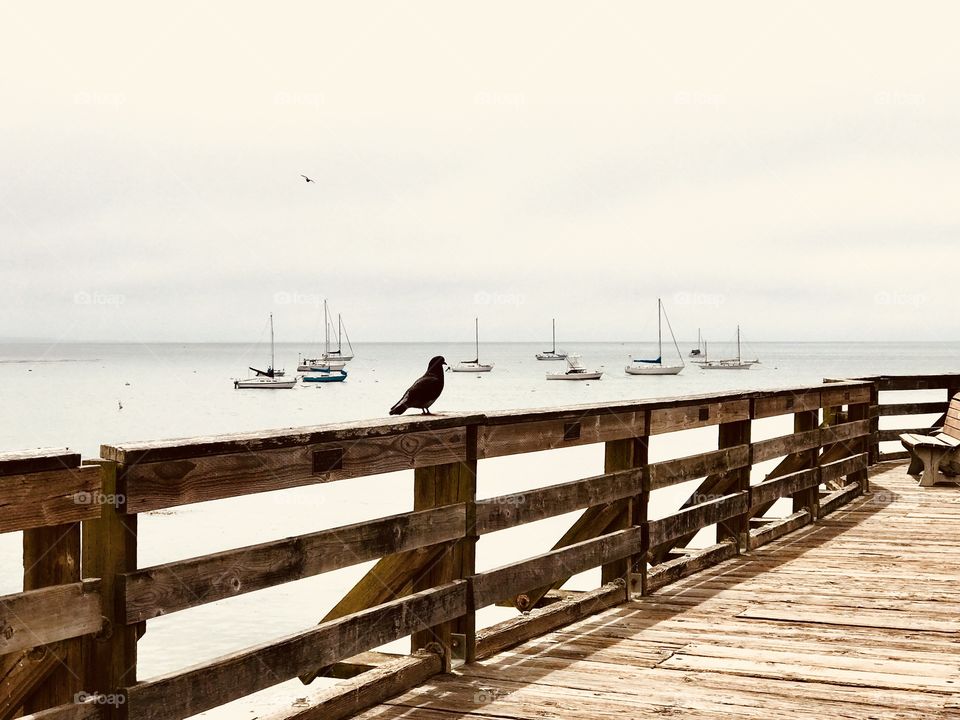 On the wharf watching the sailing boats