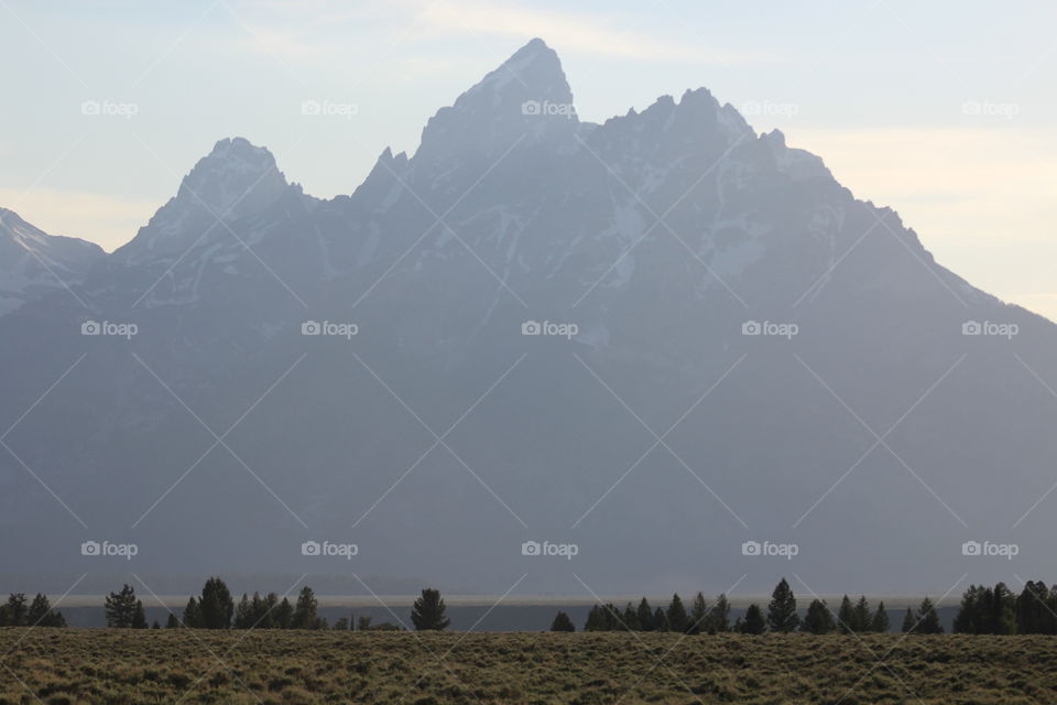 Outdoors wilderness mountain mountains beautiful trees fields Prairie rocks View outline mountainside landscape