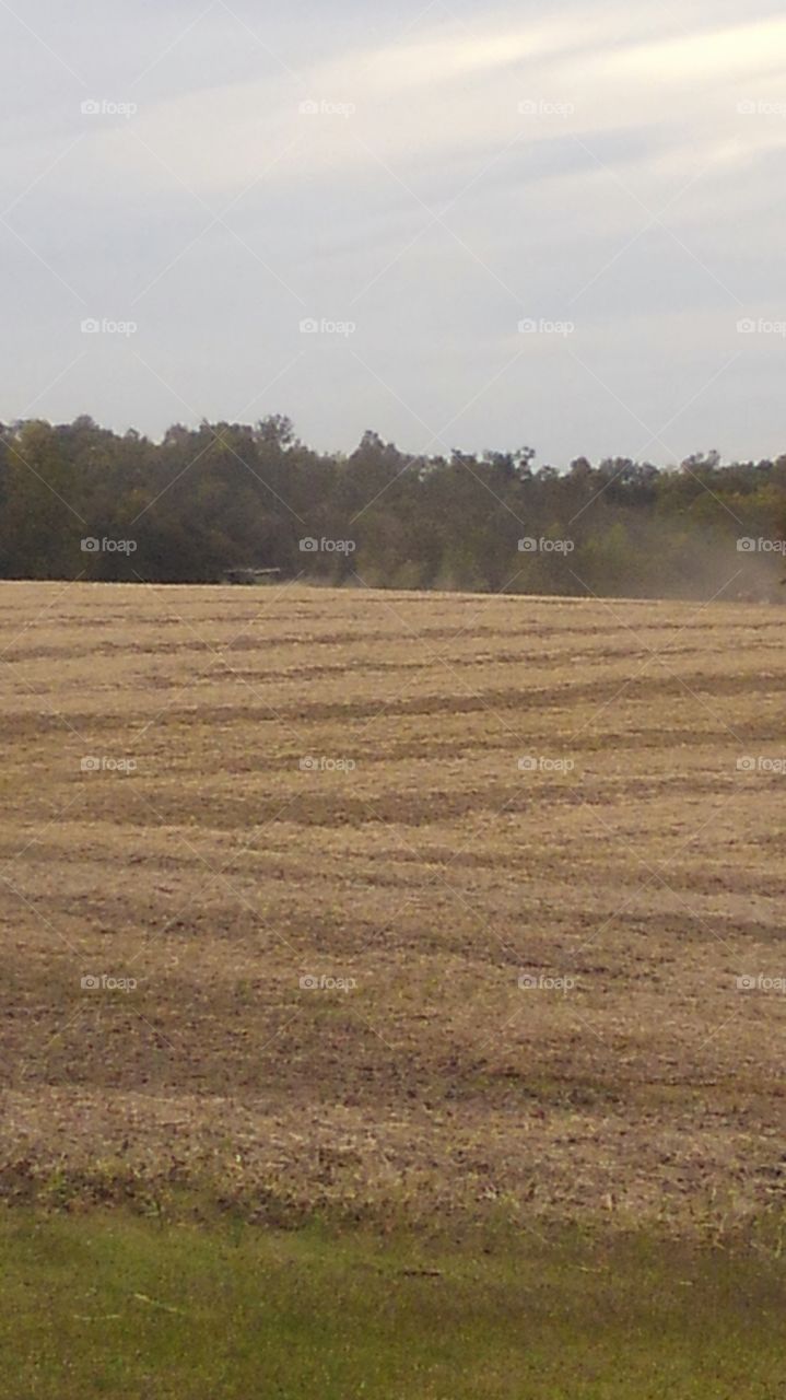 Soybean Fall Harvest