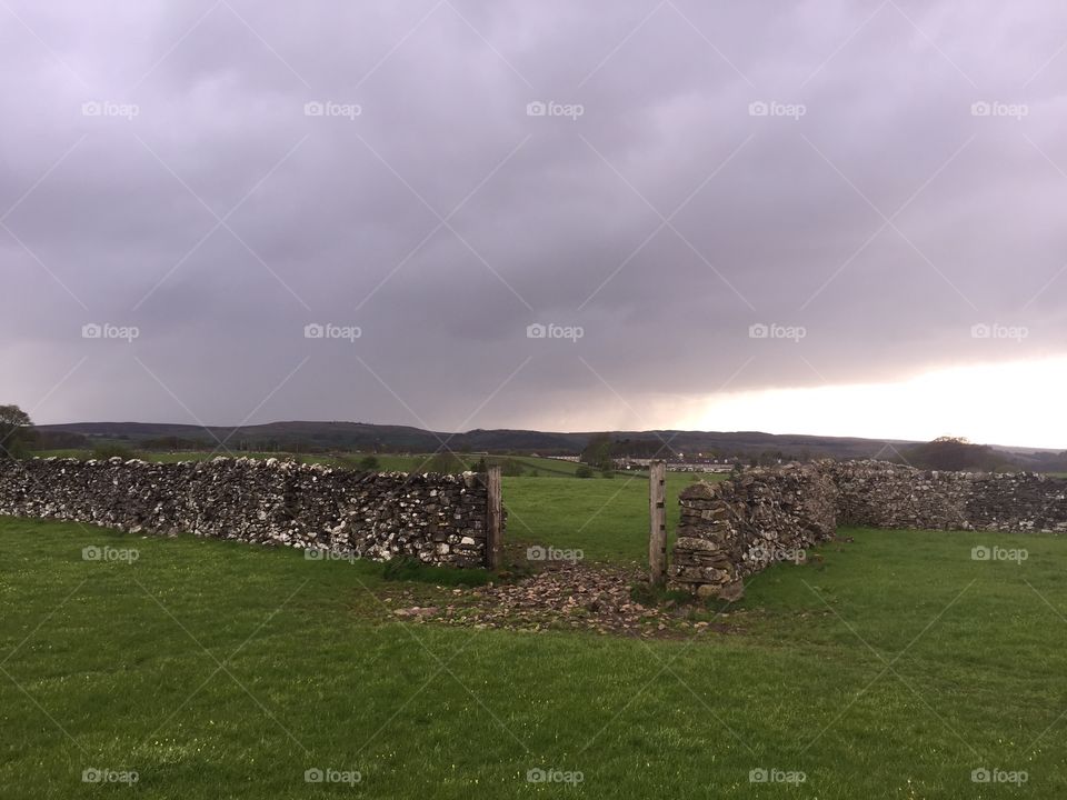 Field, Yorkshire Dales, UK. Sheep field in the Yorkshire Dales, United Kingdom. And a storm is brewing!