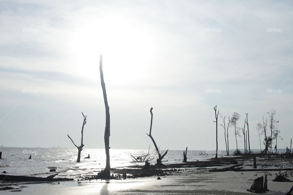 Water, No Person, Nature, Sky, Sea
