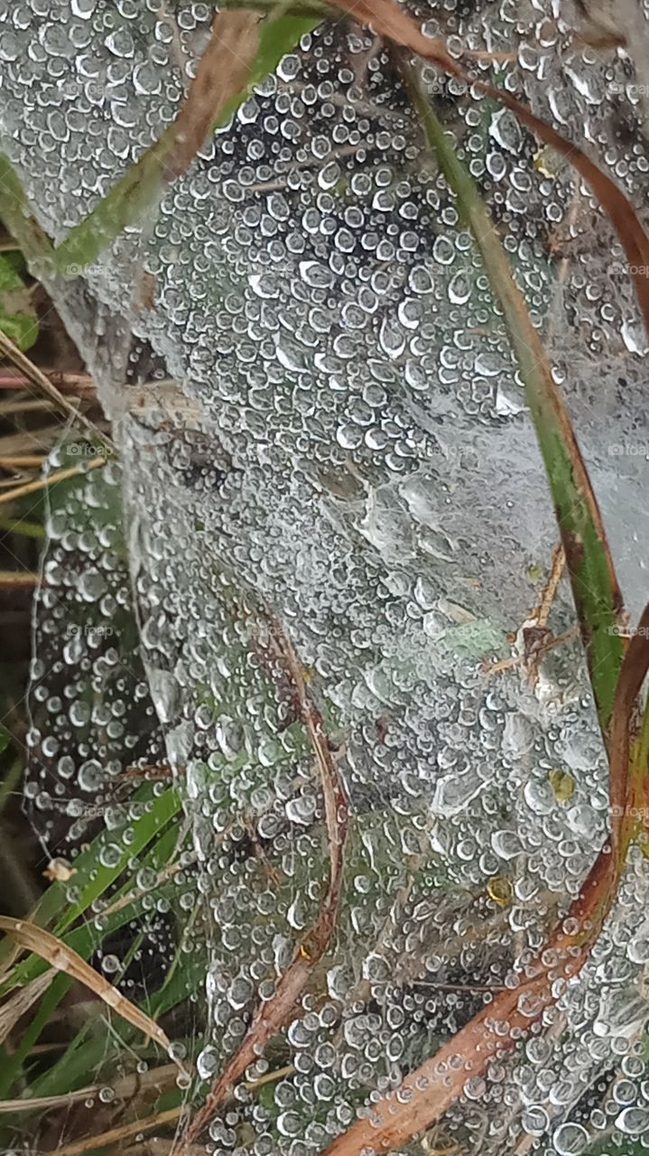 This waternet is very very beautyfull and nature