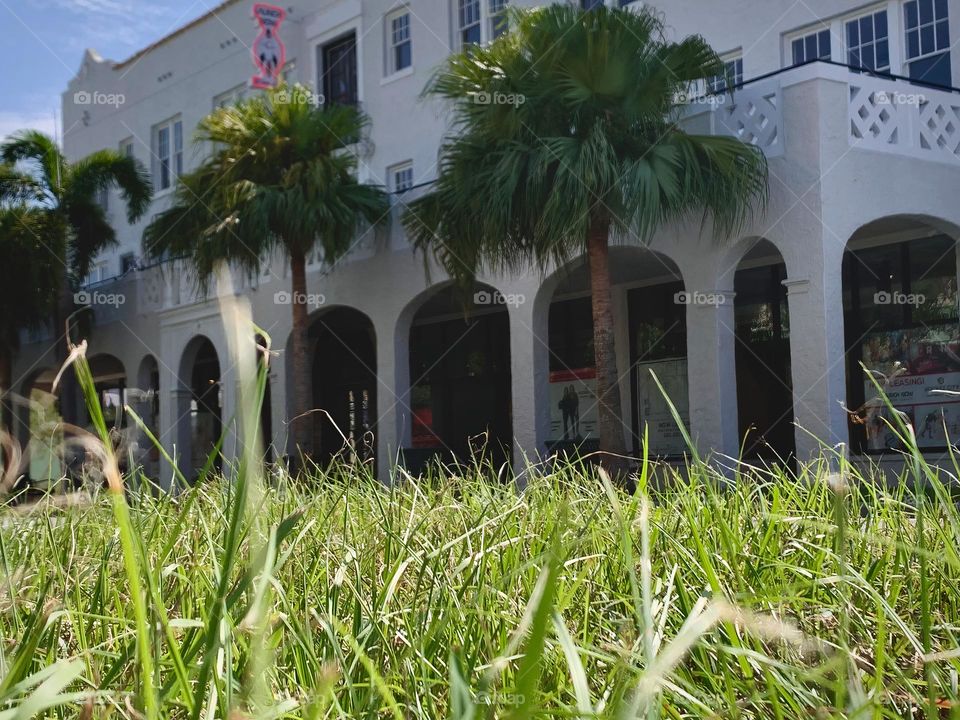 Architectural historical commercial building with rounded top arched openings with palm trees in front of the facade seen from a low angle through the grass.